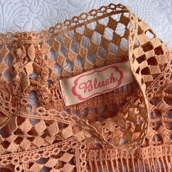 Blush Crochet Lace Dress - Picture 8 of 15